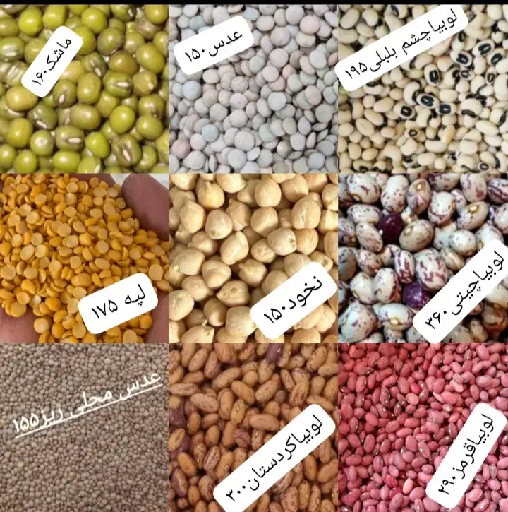 فروش حبوبات بدون آشغال|عمده‌فروشی|یاسوج, |دیوار