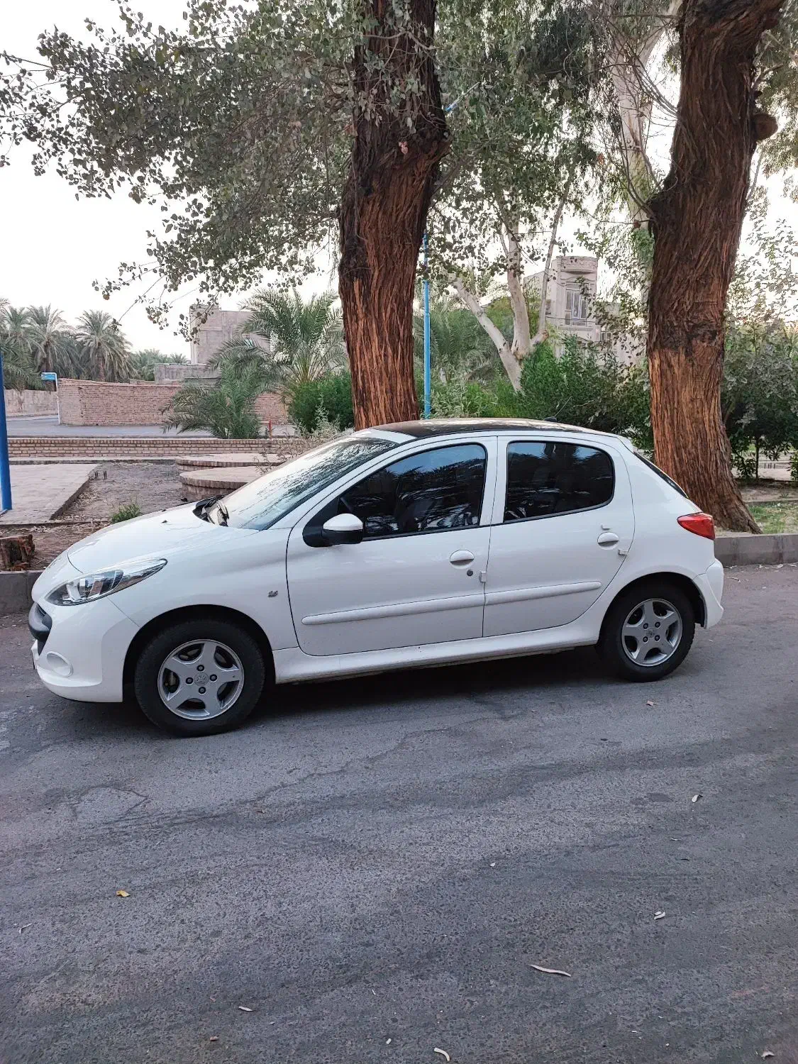 پژو 207 پانا|خودرو سواری و وانت|بم, |دیوار