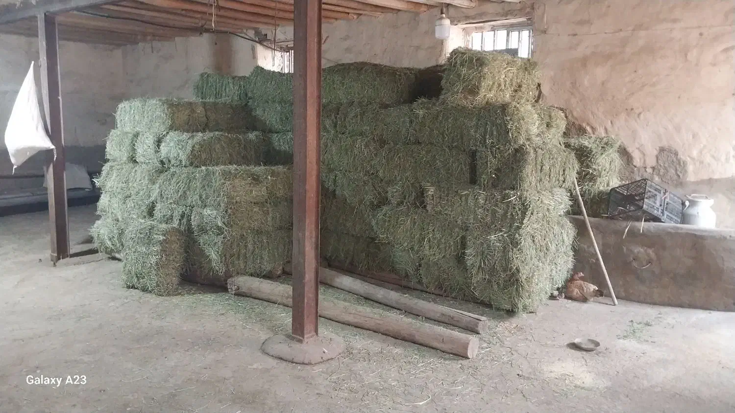 یونجه|لوازم جانبی حیوانات|خرم‌آباد, |دیوار