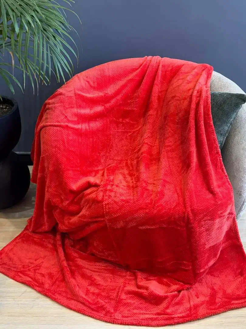 پتومسافرتی|رختخواب، بالش، پتو|تربت جام, المهدی|دیوار