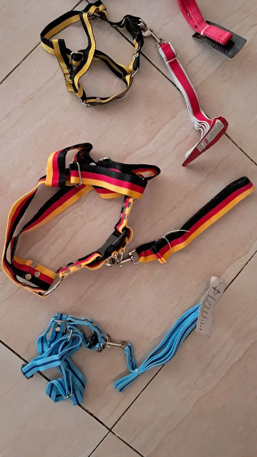 قلاده سگ|لوازم جانبی حیوانات|ایلام, |دیوار