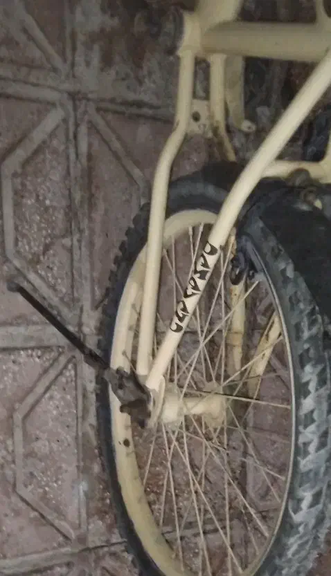 دوچرخه ۲۰|دوچرخه، اسکیت، اسکوتر|تربتحیدریه, مسجد جامع|دیوار