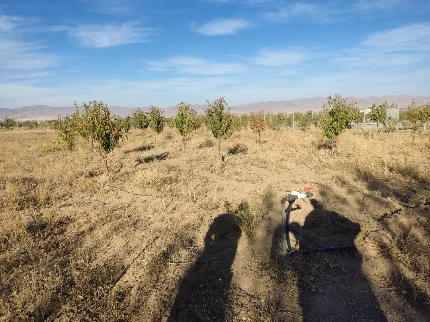 فروش باغ شهر در سلطانیه|فروش زمین و ملک کلنگی|سلطانیه, |دیوار