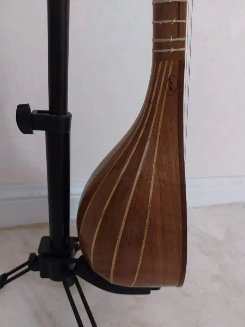 سه تار|سازهای سنتی|تهران, پیکان شهر|دیوار