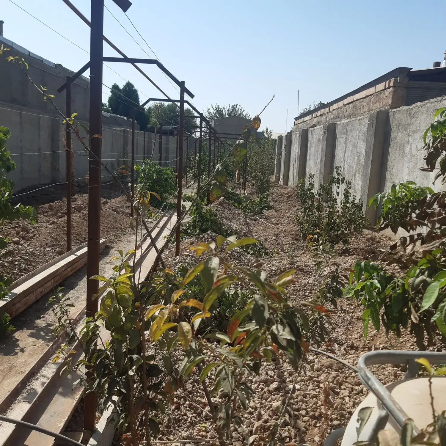 ملک تجاری مسکونی کلنگی در شهر قشلاق ابیک|فروش زمین و ملک کلنگی|بشاریات, |دیوار