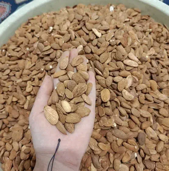 تغذیه بادام زرین ایرانی بدون تلخ|خوردنی و آشامیدنی|قم, شهرک امام حسن|دیوار