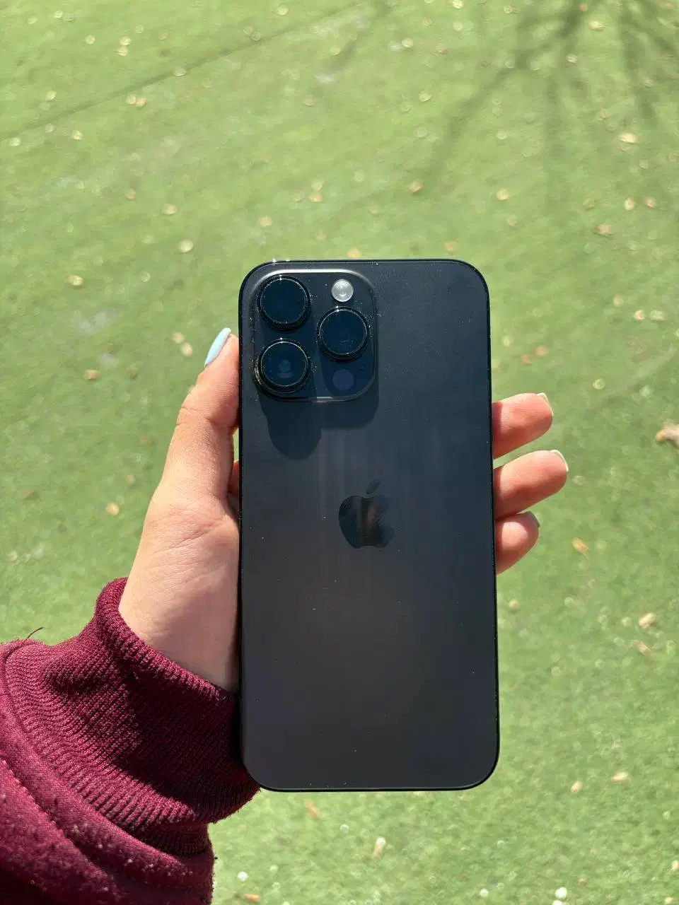 ایفن 14 پرومکس|موبایل|شیراز, معالی‌آباد|دیوار