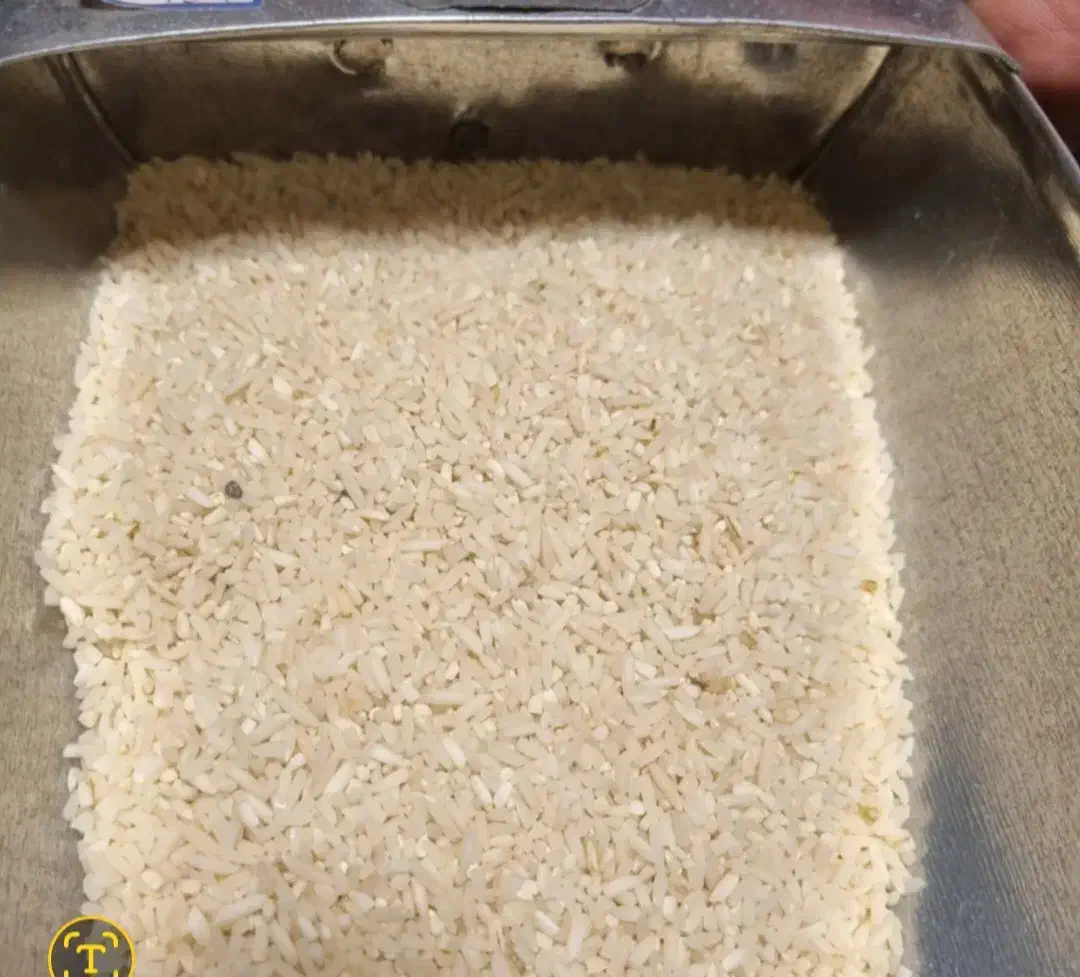 برنج لاشه هاشمی|خوردنی و آشامیدنی|رشت, استادسرا|دیوار