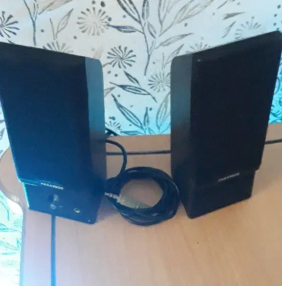 اسپیکر فراسو لپ تاپ|قطعات و لوازم جانبی رایانه|یاسوج, |دیوار