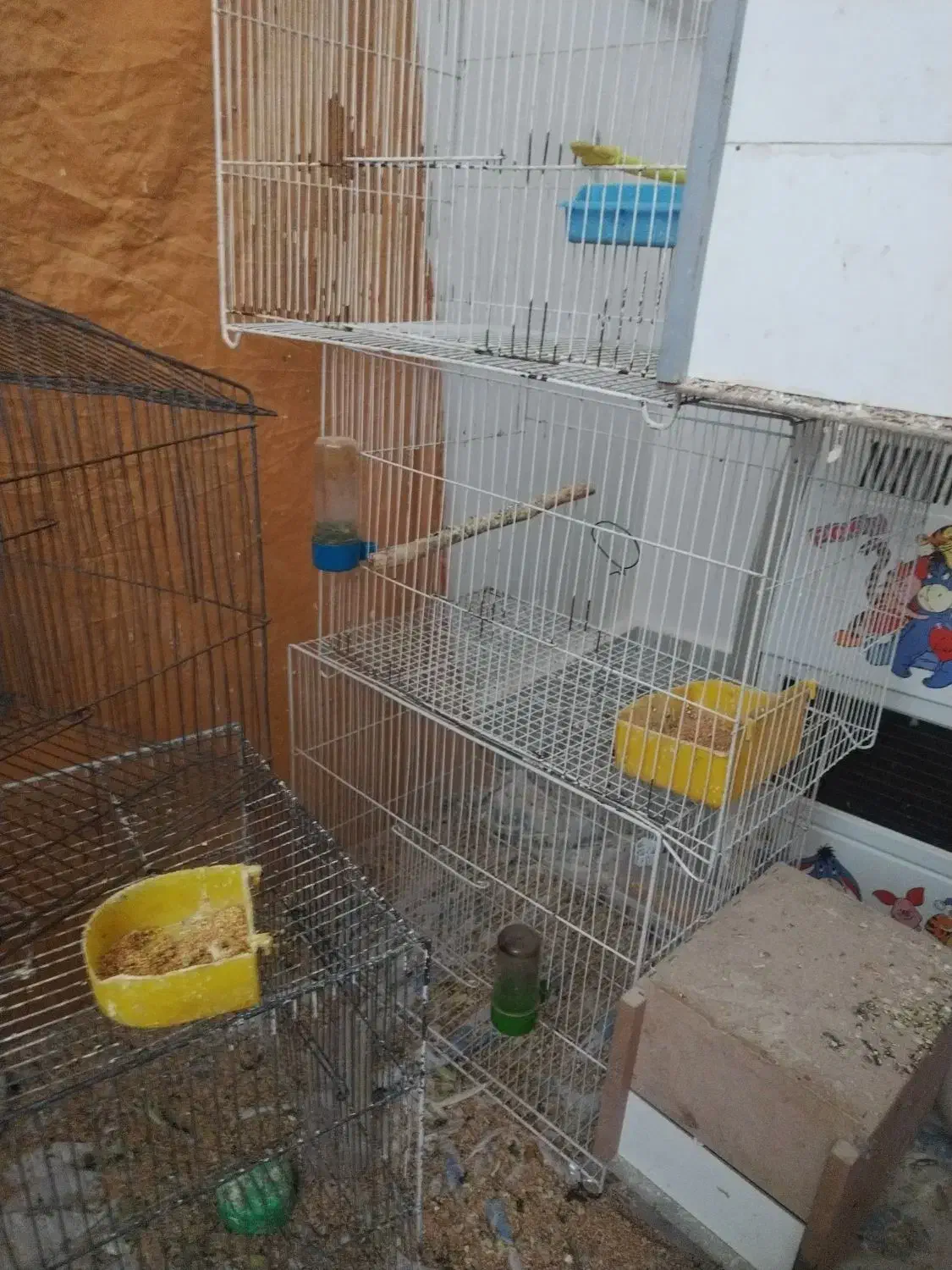 ارایشی|حراج|تربت‌حیدریه, پائین ولایت|دیوار