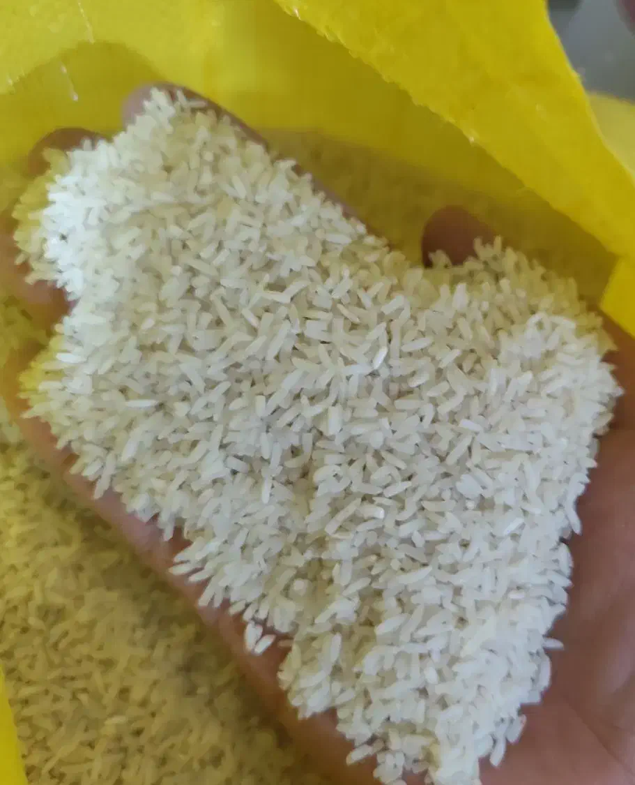 برنج سرلاشه|خوردنی و آشامیدنی|اردبیل, |دیوار