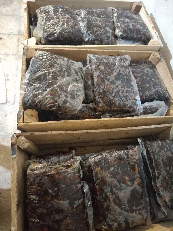 خرما شیره طبیعی وا صنعتی|عمده‌فروشی|کارون, |دیوار