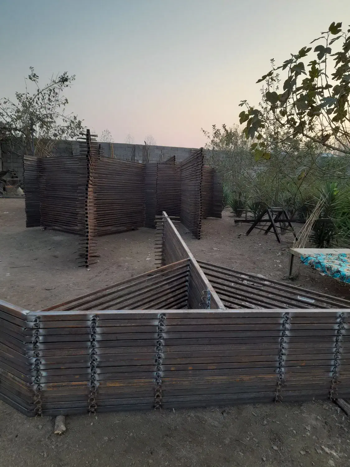 ساخت پایه کیوی استاندارد|خدمات باغبانی و درختکاری|لاهیجان, قیام|دیوار