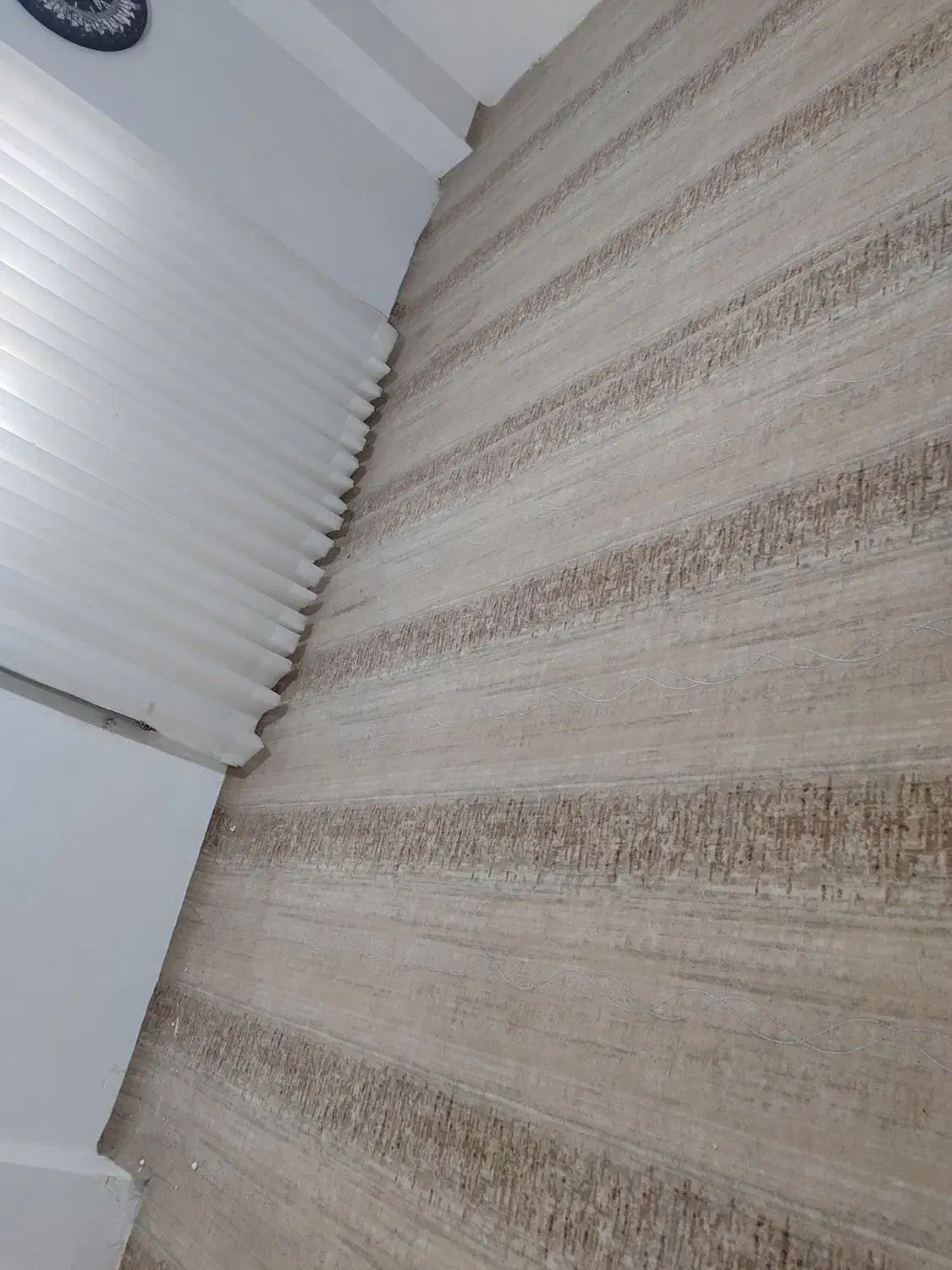 ۴۸ متر موکت در حد نو|موکت|قائم‌شهر, |دیوار