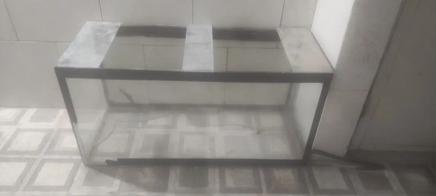 اکواریوم 3عدد|ماهی|یزد, |دیوار