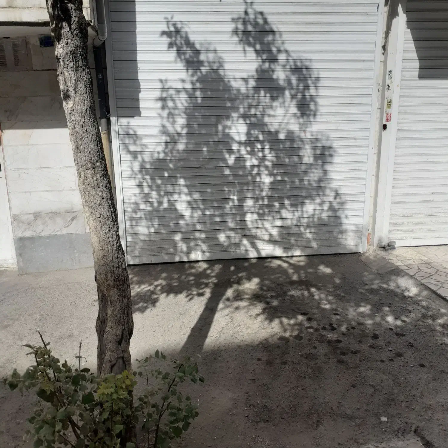 مغازه ۵۰متر ی|فروش مغازه و غرفه|تهران, جوادیه تهرانپارس|دیوار
