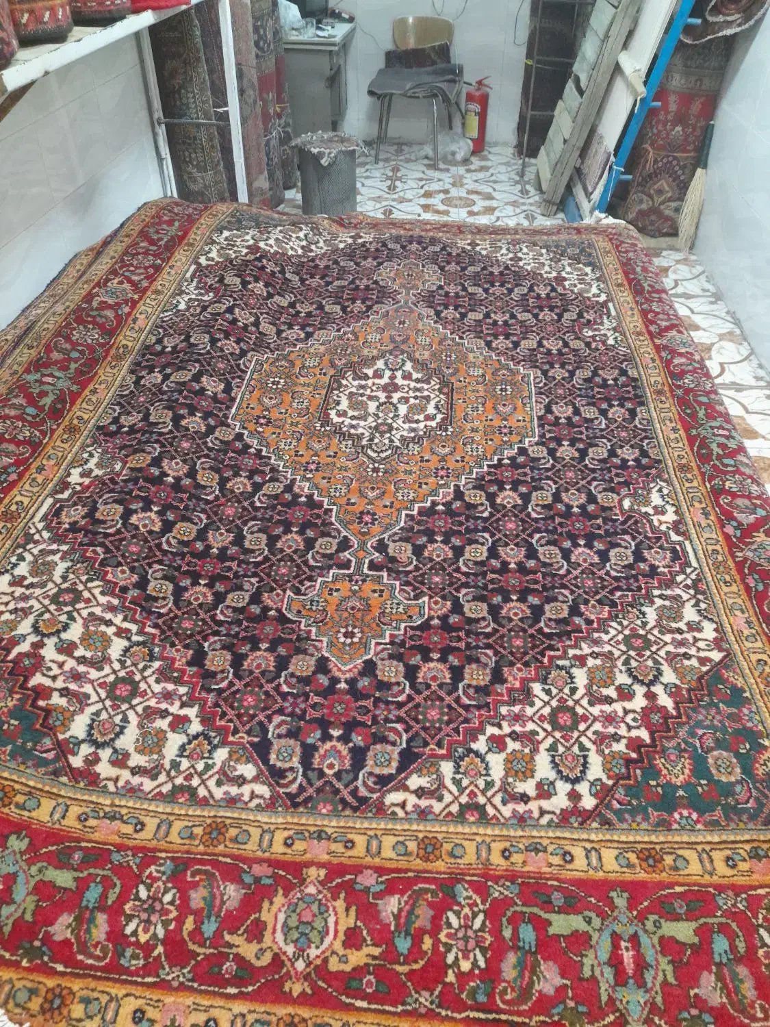 ۶متری جفت ماهی|فرش|مراغه, |دیوار