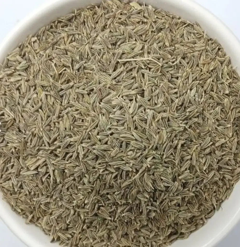 زیره سروستان|خوردنی و آشامیدنی|شیراز, آزادگان|دیوار