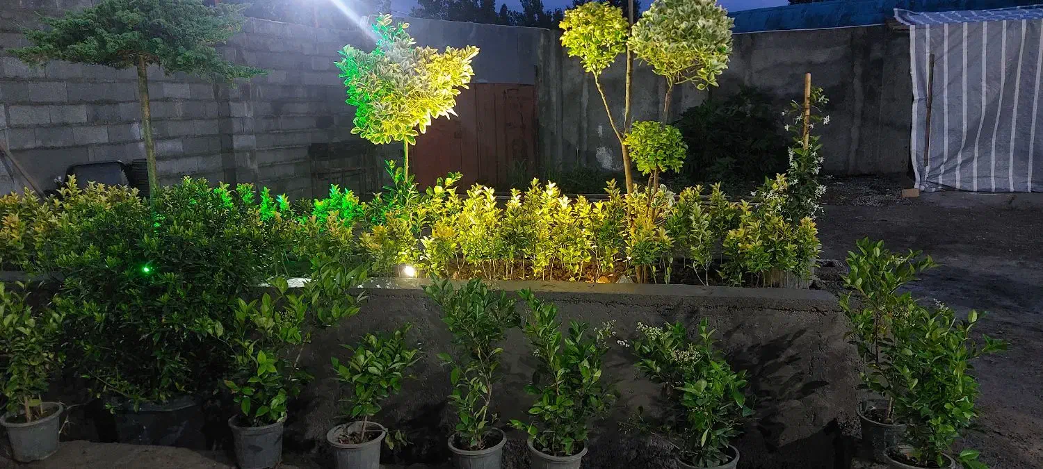 اجاره سوییت و ویلا خانوادگی|اجارهٔ کوتاهمدت ویلا و باغ|رشت, بیجارپس|دیوار