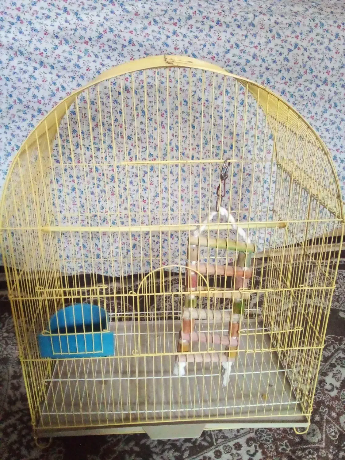 قفس بزرگ طوطی با متعلقات|لوازم جانبی حیوانات|شاهین‌شهر, فدک|دیوار