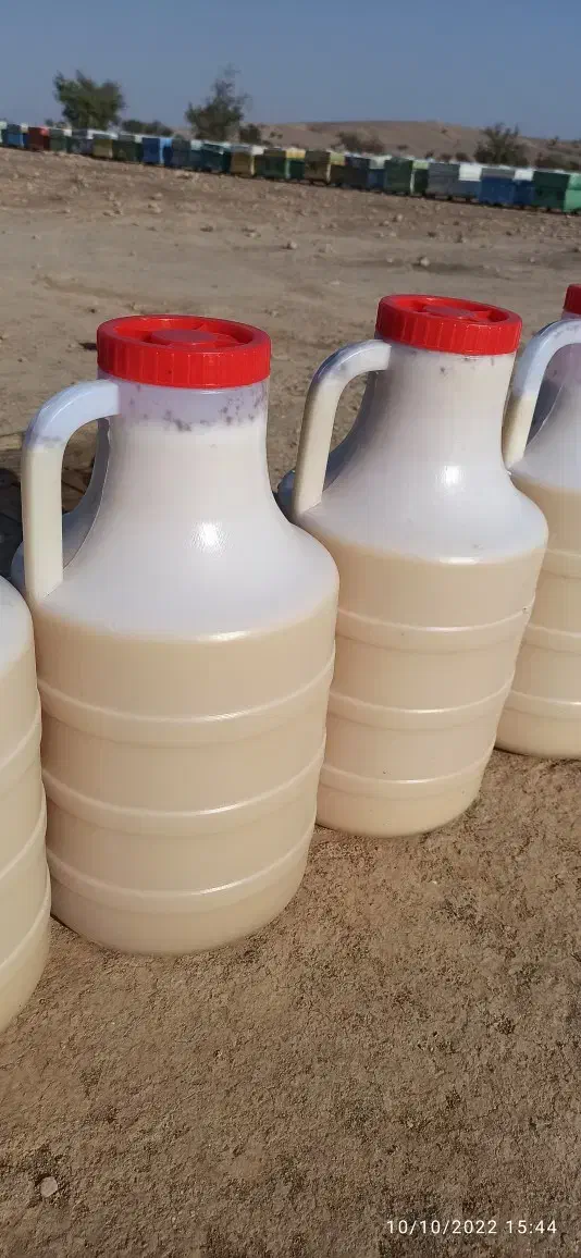 عسل کنار|خوردنی و آشامیدنی|جره و بالاده, |دیوار