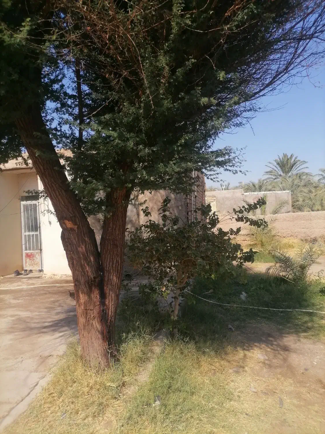 خانه ویلایی فروش 65متری|فروش خانه و ویلا|نرماشیر, |دیوار