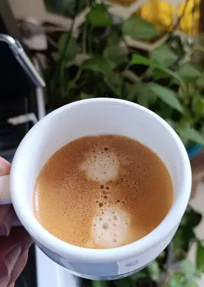 اسپرسو ساز 153 نوا|سماور، چایساز، قهوهساز|بندر ماهشهر, |دیوار