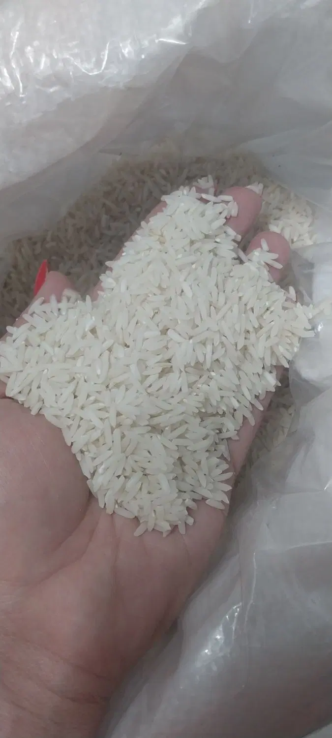 ۴۶۰|خوردنی و آشامیدنی|بندر انزلی, معلم|دیوار