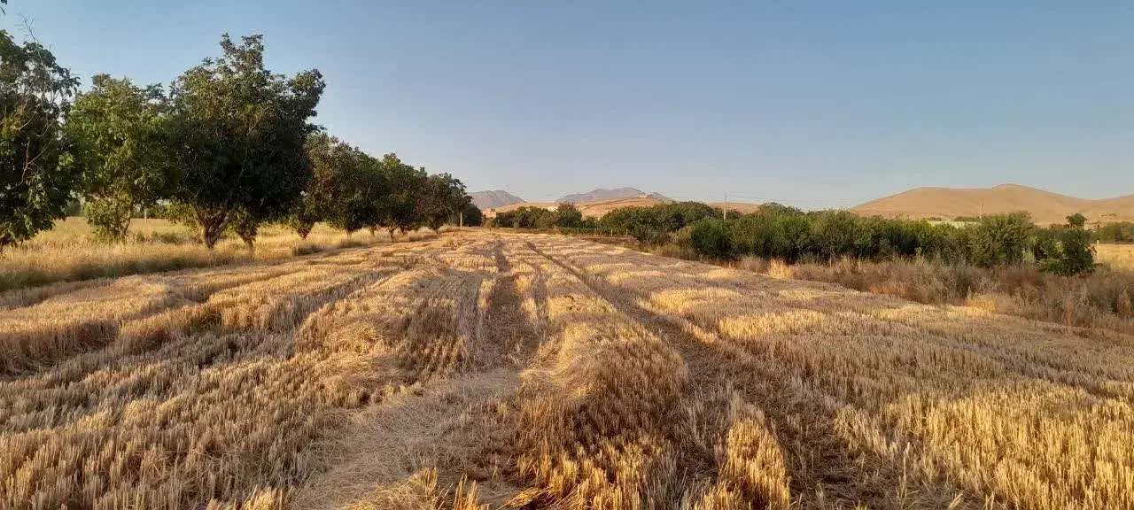 فروش زمین با مجوز گلخانه هیدروپونیک چاه نیمه عمیق|فروش دفتر صنعتی، کشاورزی، تجاری|کامیاران, |دیوار