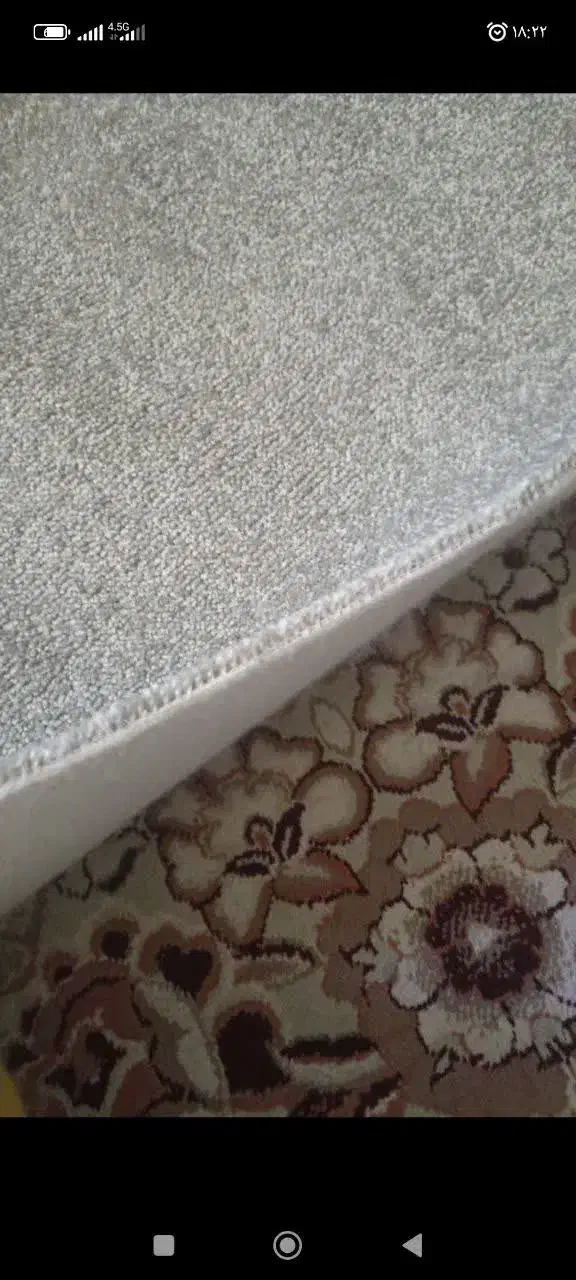 پالاز موکت|موکت|تهران, مسگرآباد|دیوار