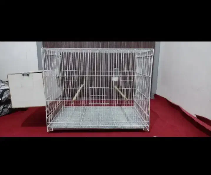 قفس|لوازم جانبی حیوانات|شیروان (خراسان), |دیوار