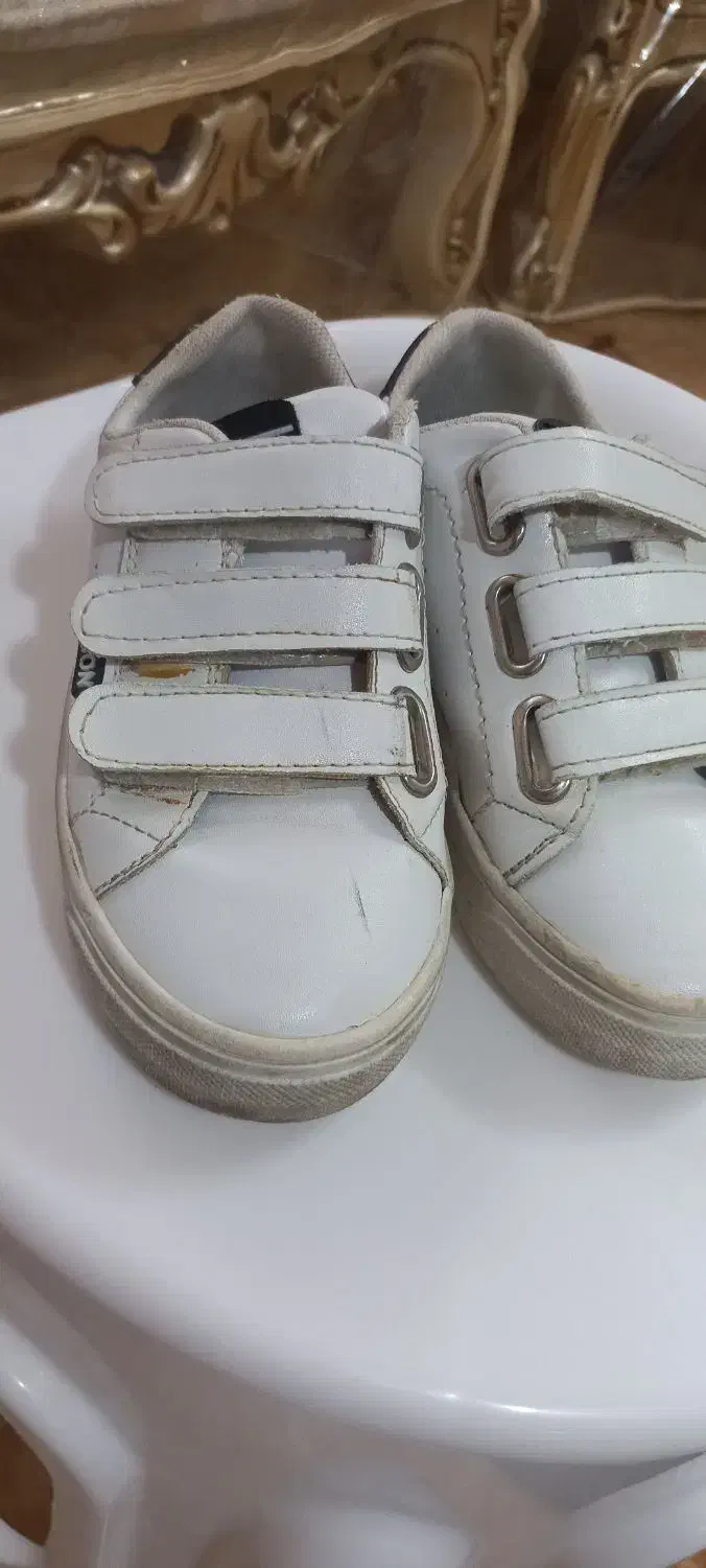 کفش ونس چسبی سایز۳۱|کفش و لباس بچه|کاشان, کارگر|دیوار