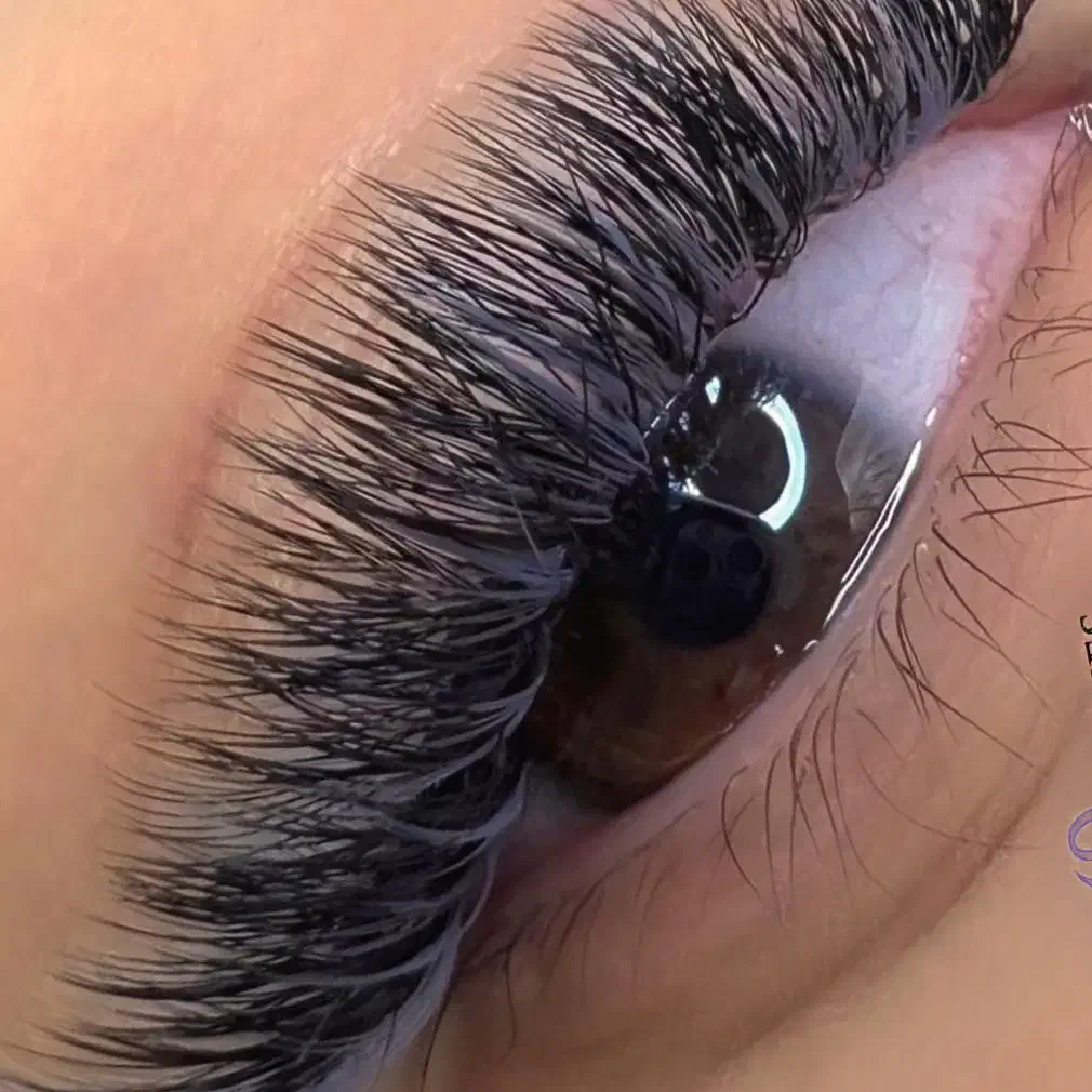 مژه ناخن رنگ و احیا فیشال استخدام و آموزش|استخدام درمانی، زیبایی، بهداشتی|تهران, صادقیه|دیوار