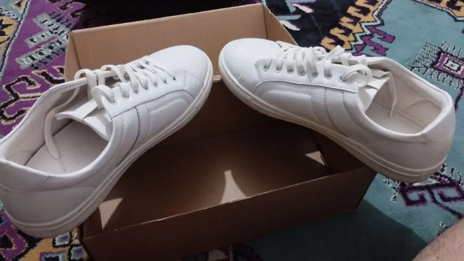 کفش|کیف، کفش، کمربند|اهواز, زندوکیلی|دیوار