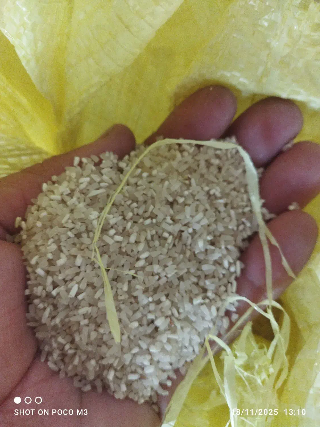 سرلاشه طارم درجه یک بون تخم علف تمیز|خوردنی و آشامیدنی|کلاله, |دیوار