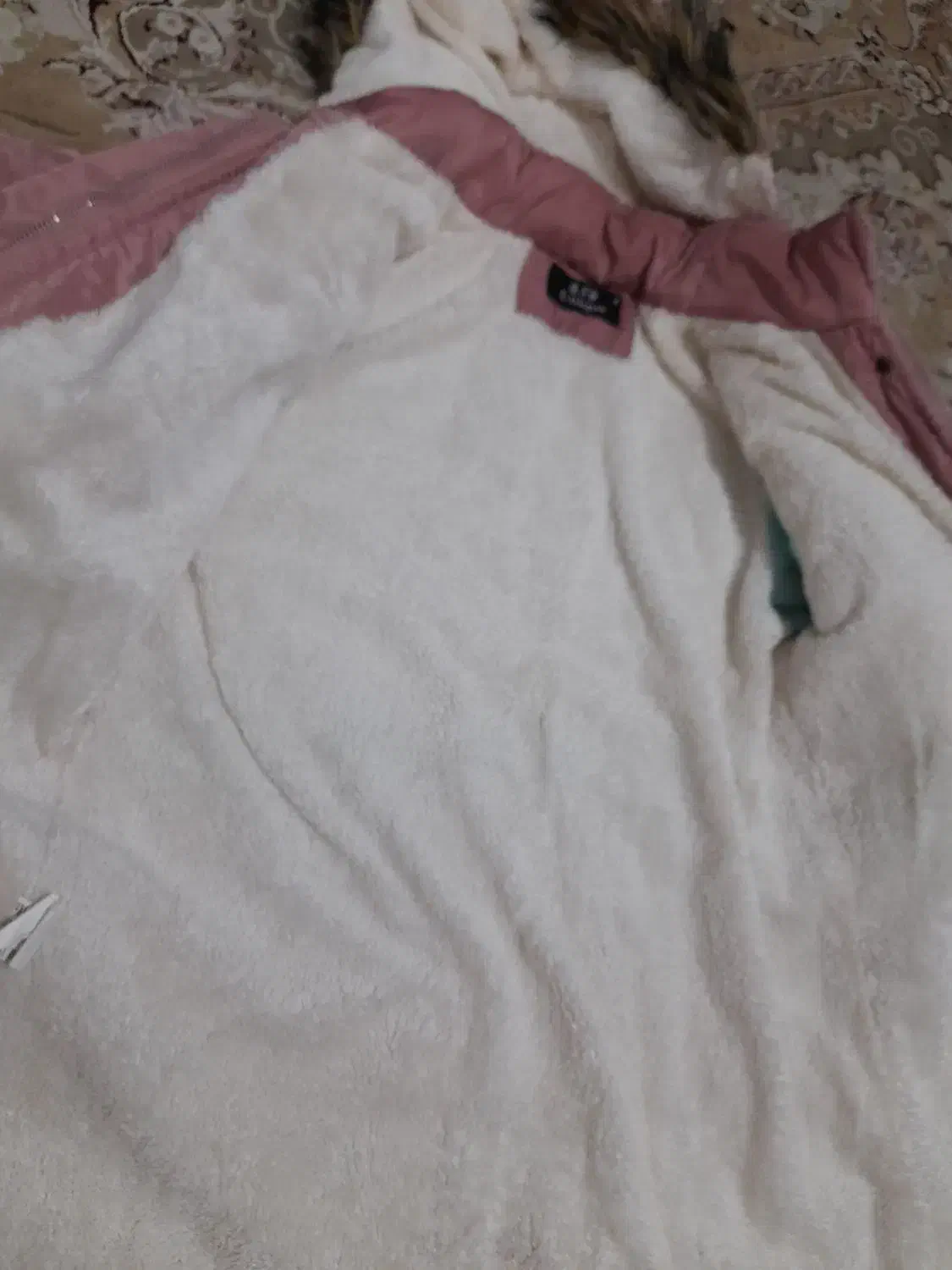 کاپشن نو جنس خوب اندازه ۶ تا ۸ سال میشه|لباس|گنبد کاووس, |دیوار