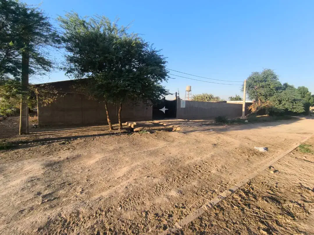 دامداری|فروش دفتر صنعتی، کشاورزی، تجاری|سوسنگرد, |دیوار