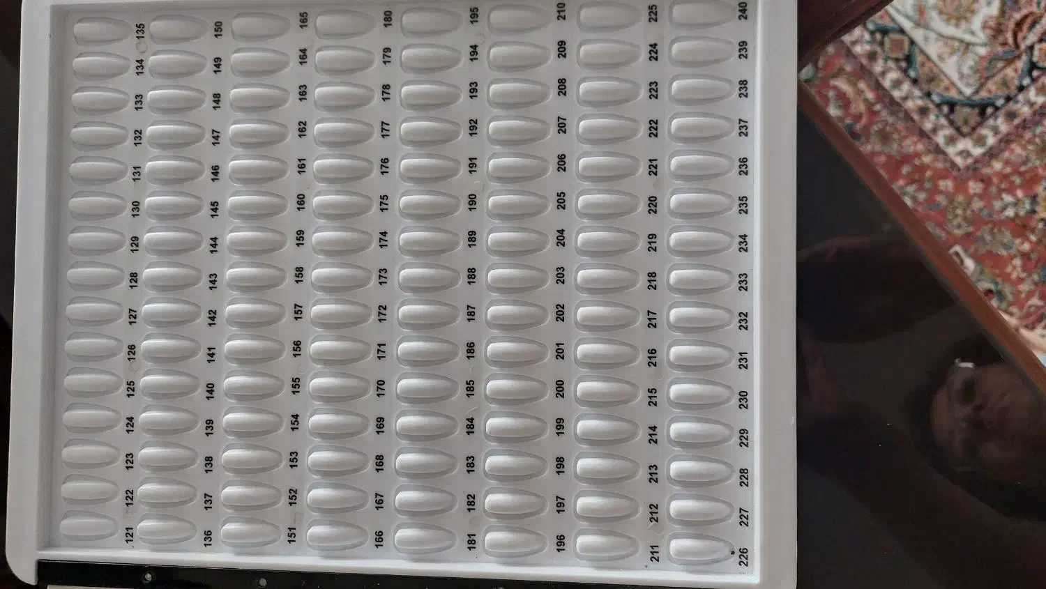 فروش وسایل کاشت ناخن|آرایشی، بهداشتی، درمانی|همدان, |دیوار