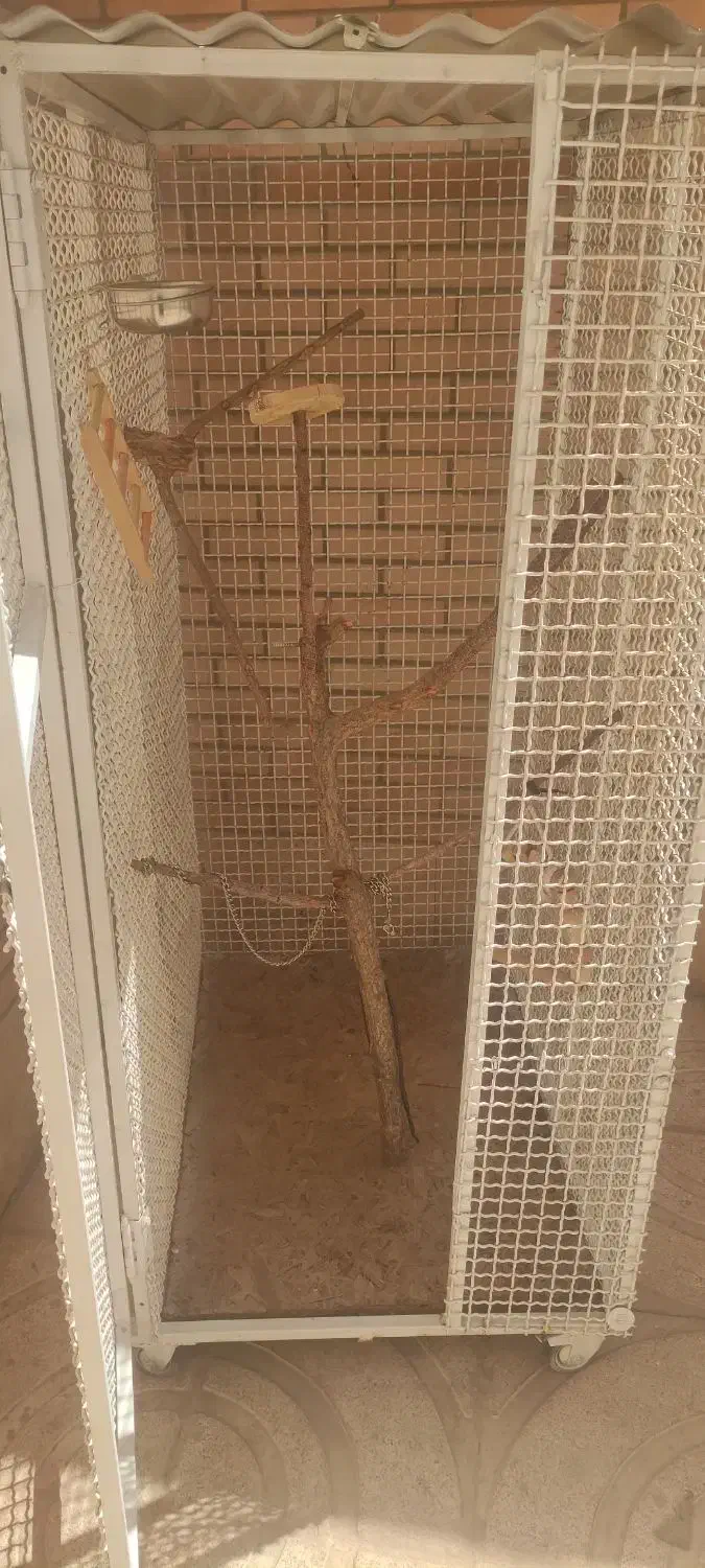 قفس آهنی|لوازم جانبی حیوانات|شاهینشهر, فردوسی|دیوار