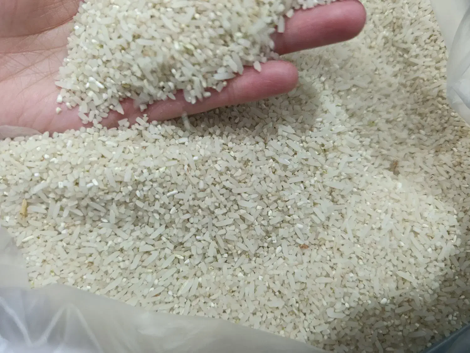 برنج سرلاشه|خوردنی و آشامیدنی|مشهد, ثامن|دیوار