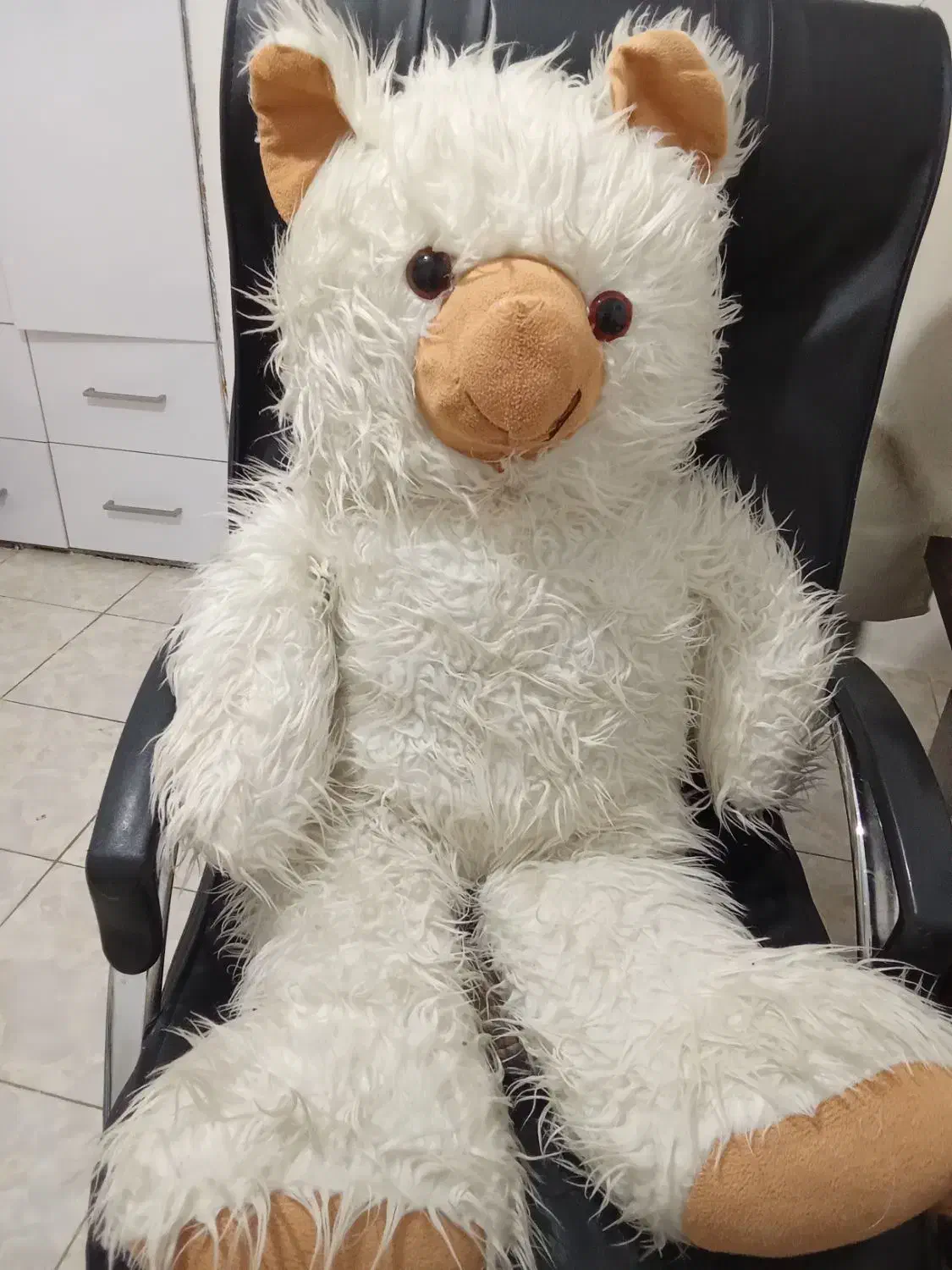 عروسک|اسباب‌بازی بچه|شیراز, زیباشهر|دیوار