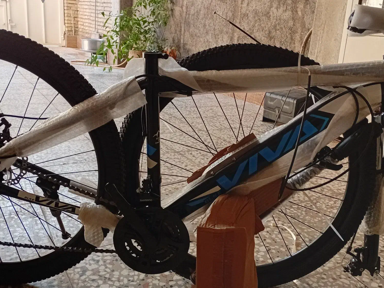 دوچرخه ویوا|دوچرخه، اسکیت، اسکوتر|گنبد کاووس, |دیوار