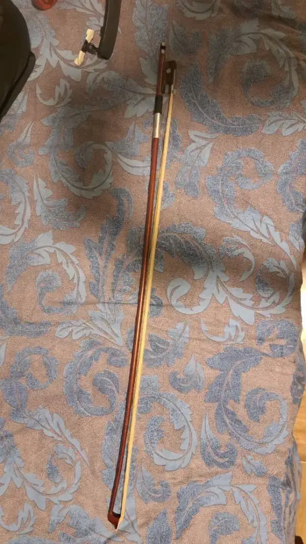 ویولن|ویولن|تهران, ونک|دیوار