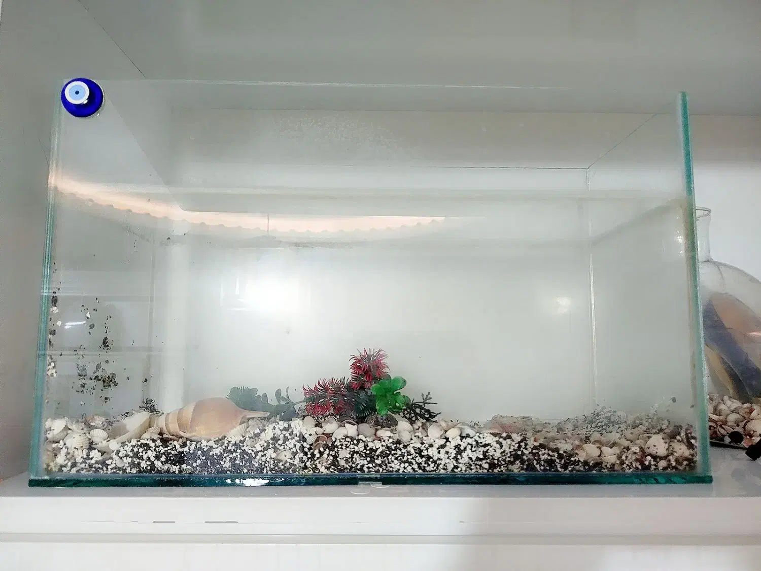 آکواریوم بزرگ|ماهی|مشهد, حیدرآباد|دیوار