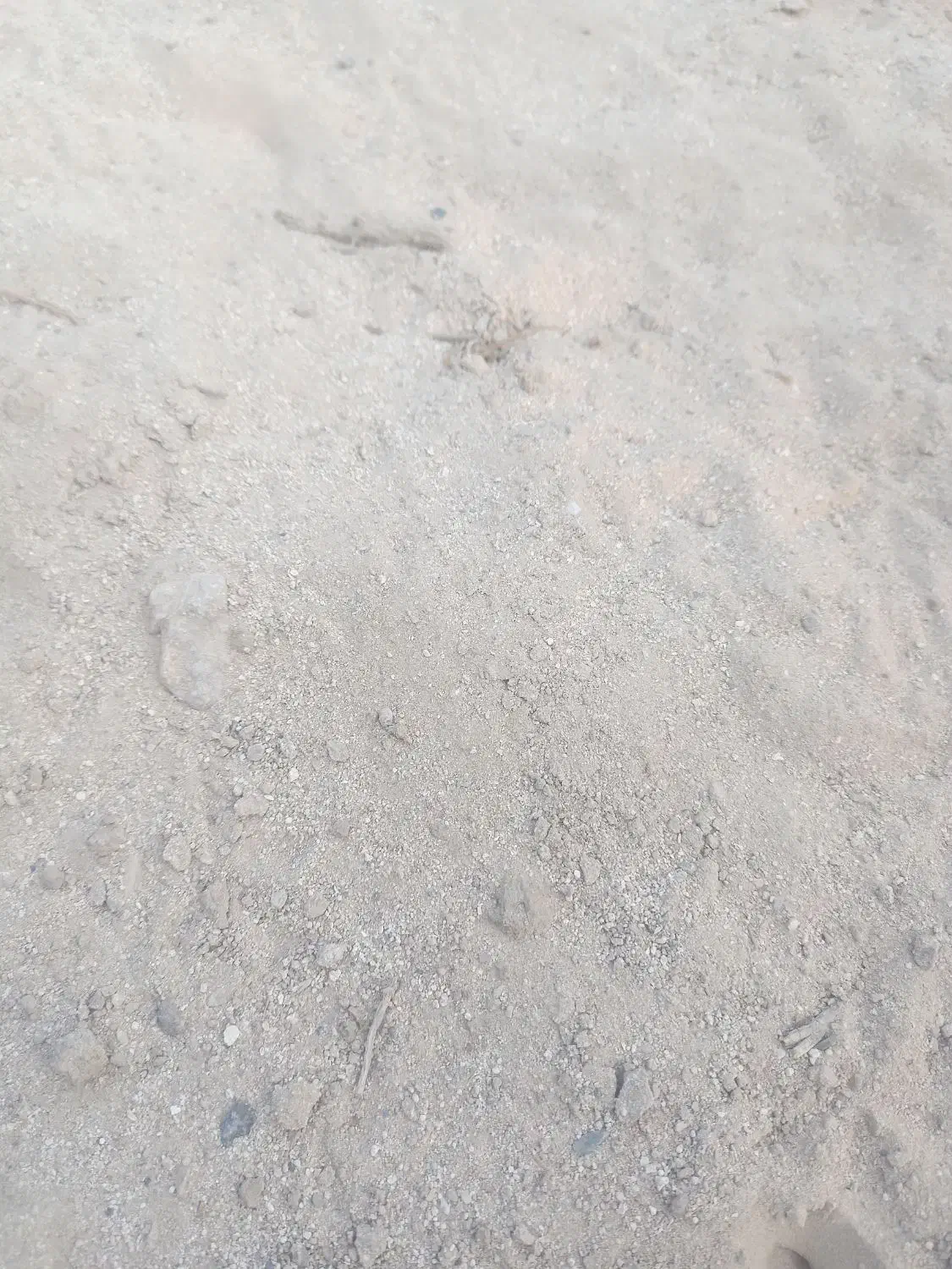 زمین شهرک صدرا|فروش زمین و ملک کلنگی|نیریز, |دیوار