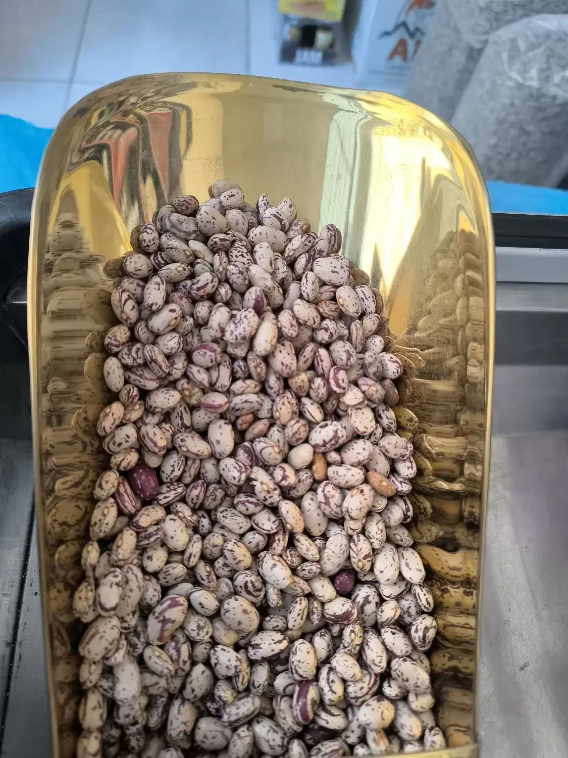 لوبیا چیتی امساله به قیمت عمده|خوردنی و آشامیدنی|اسلام‌شهر, شهرک سعیدیه|دیوار