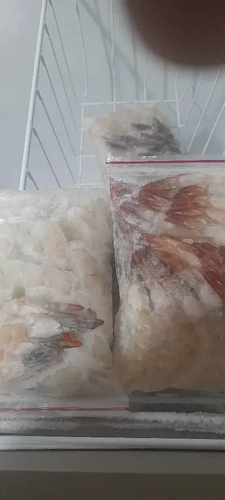 ماهی و میگو|ماهی|قشم, |دیوار