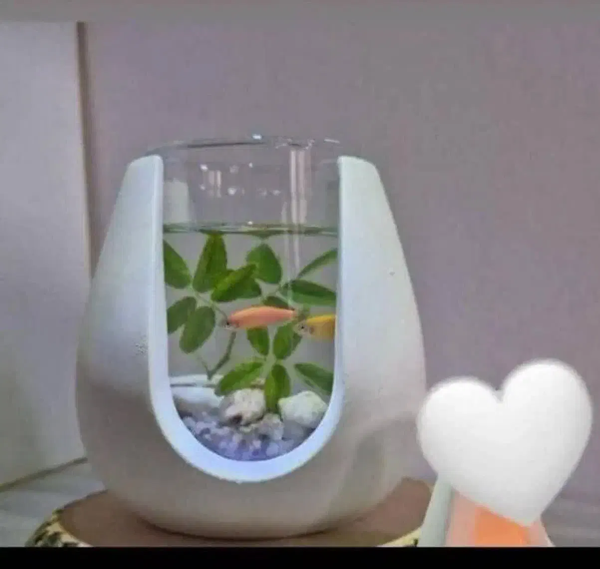 تنگ ماهی و گلدان|ماهی|علی‌آباد کتول, |دیوار