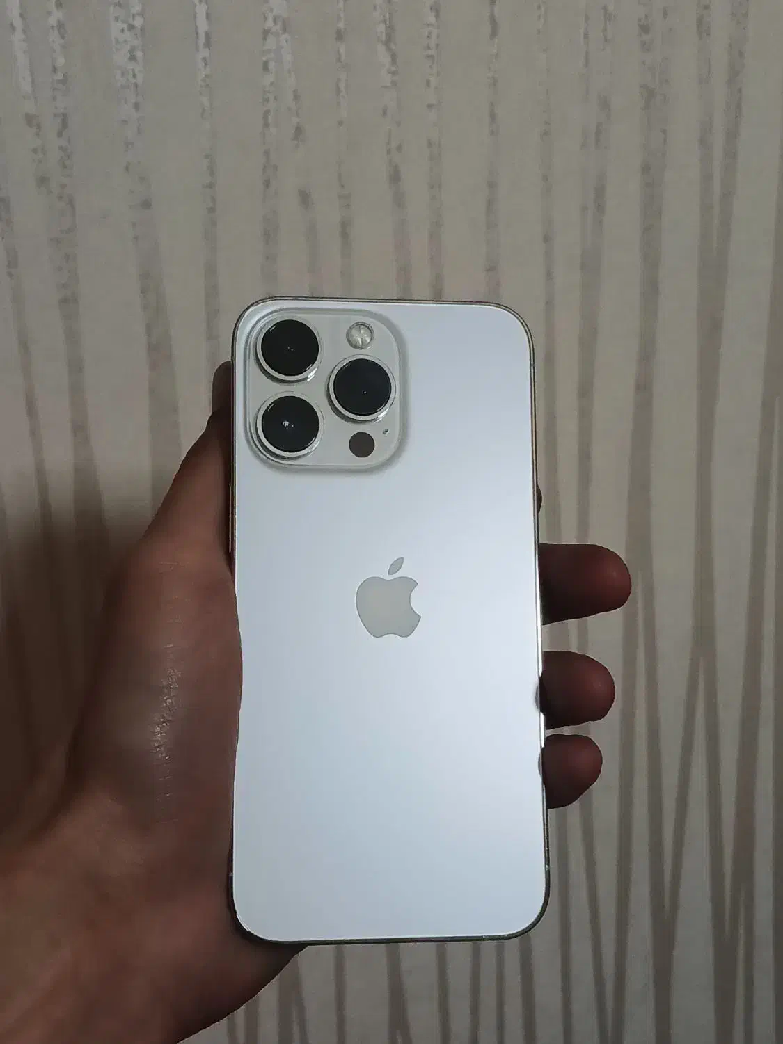 iphone 13 pro 256gb ch/a|موبایل|رشت, منظریه|دیوار