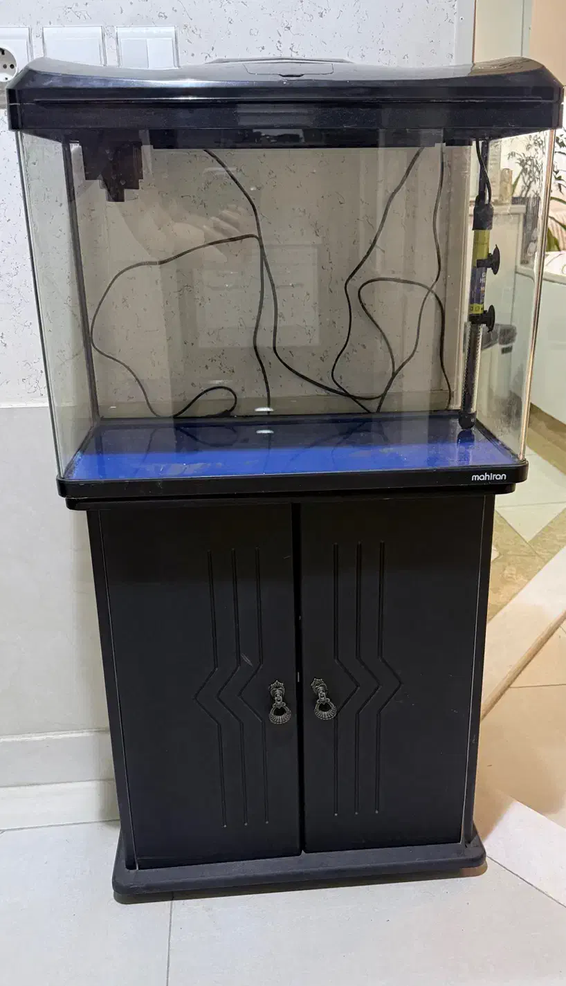 آکواریوم شیشه خم ماهیران|ماهی|اصفهان, جلفا|دیوار